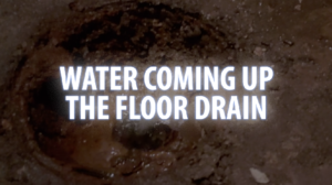 Water Coming Up The Floor Drain