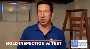 mold inspection vs mold testing