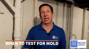 when to test for mold