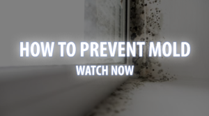 how to prevent mold